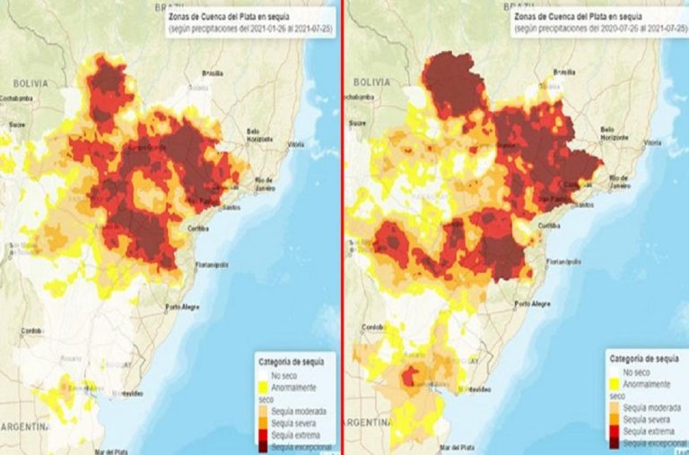 Oficial La Sequía Se Extiende Por Más De 126 Mill Ha Noticias