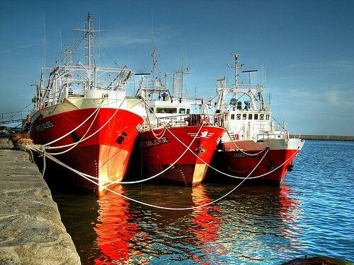 Integración de las cadenas de valor de la pesca marina sostenible